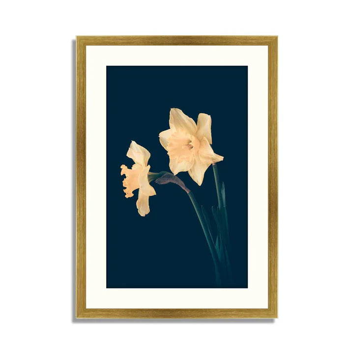 Set of 3 Floral Framed Art ZS_FR39