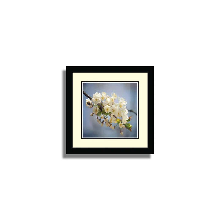 Set of 10 Floral Framed Art ZS_FR61