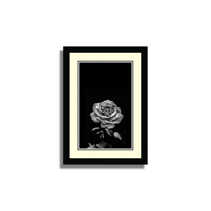 Set of 10 Floral Framed Art ZS_FR61
