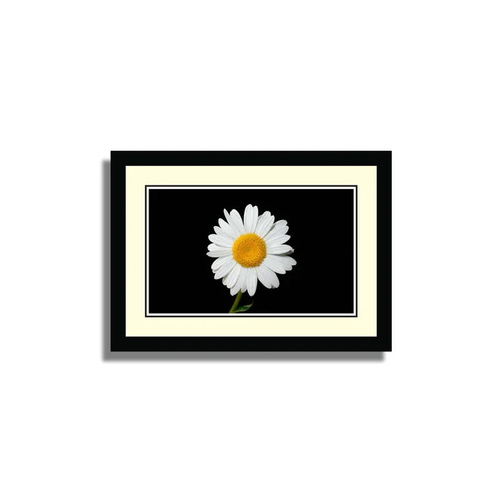 Set of 10 Floral Framed Art ZS_FR61
