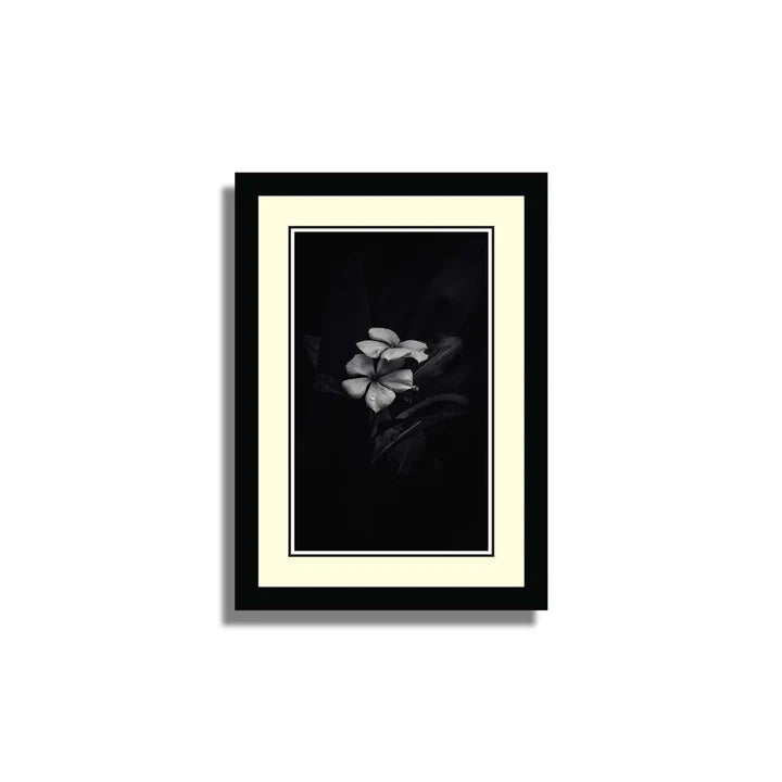 Set of 10 Floral Framed Art ZS_FR61